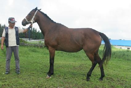 ���̳��� ����