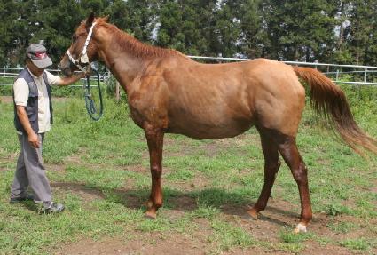 ��������Ʈ ����