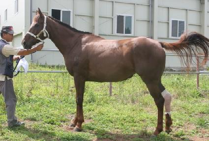 ���� ����