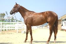 �����ѿ��� (WIDAEHAN YEONGUNG) ����