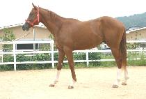 �Ӿķ (WHAT A SCAM) ����