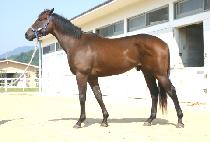 ũ����Ƽ���̽� (CRAFTY LOUIS) ����