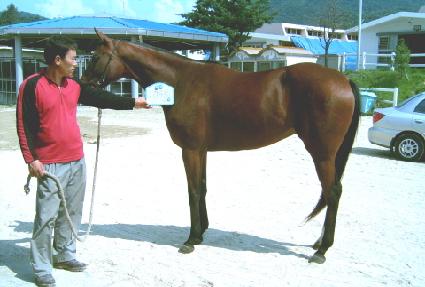 ���� ����