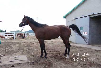 �������� ����