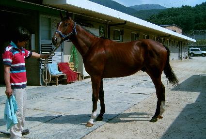 ���ѱ��� ����