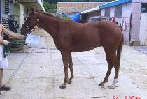 ��������� (GIBUNJOEUNNAL) ����