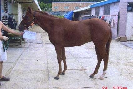 ��������� ����