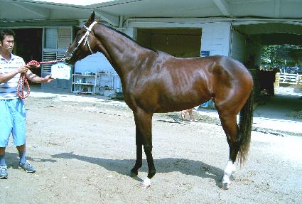 ���뷣�� ����