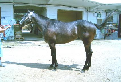 �����ڿ�Ʈ ����