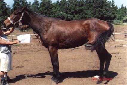 �̽��������� ����