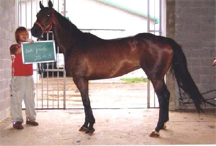 �ֵ��� ����