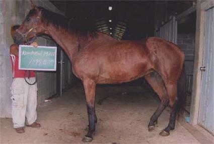 ����Ǯ��Ű ����