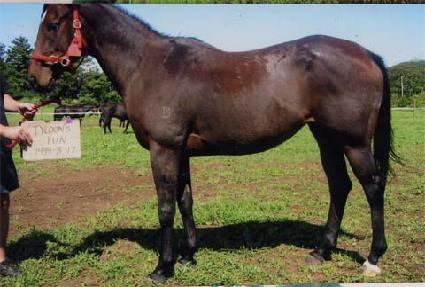 Ÿ�������� ����