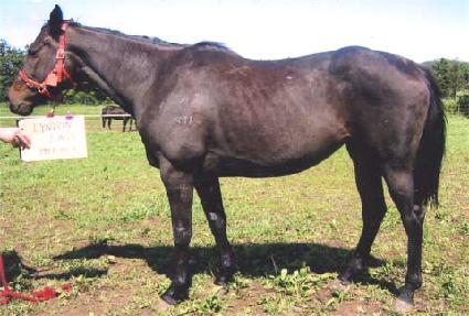 ���淡�� ����