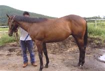 Ÿ�ӿ� (TIME ONE) ����