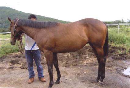 Ÿ�ӿ� ����