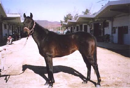 �ٸ������ϸ� ����