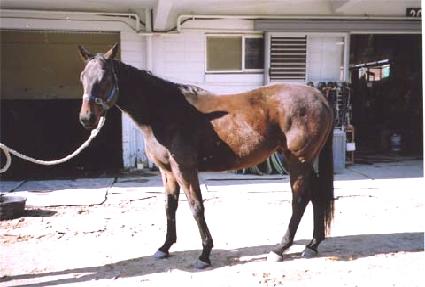 ��ġ�̷��� ����