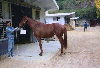 ��帮�� ����