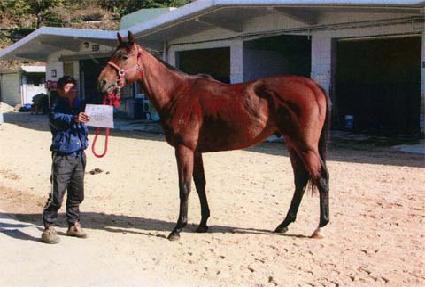 ������ ����