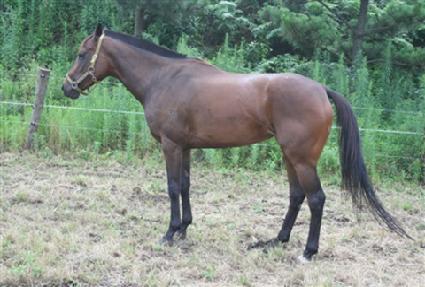 ���䰭�� ����