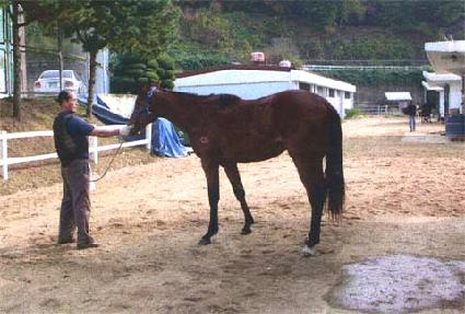 ���������� ����