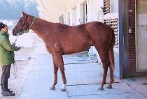 �߻� (JUNGSAN) ����