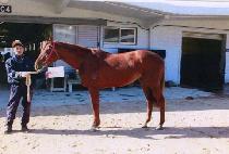 �������� (JIGU JEONGSANG) ����