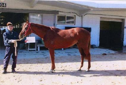 �������� ����