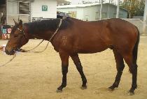 �����ȭ (HUIMANGMUNHWA) ����