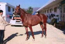 ����Ư�� (SUPER TEUKGEUP) ����