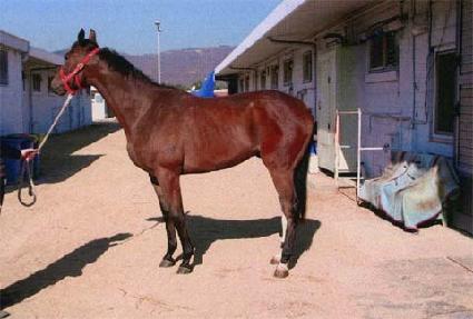 ����ǳ ����