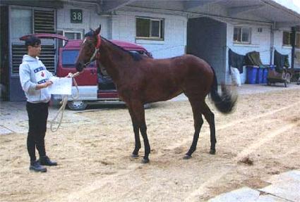 �����Ư�� ����