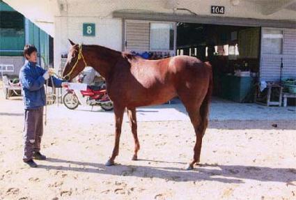 ����� ����