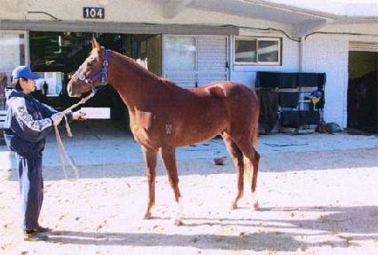 �����ҳ� ����