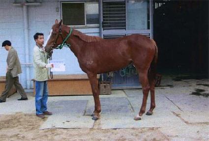 �׷��̽�ž ����