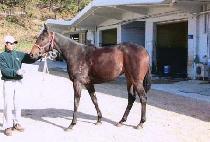 ���� (SE RYEON) ����