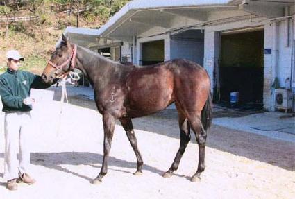 ���� ����