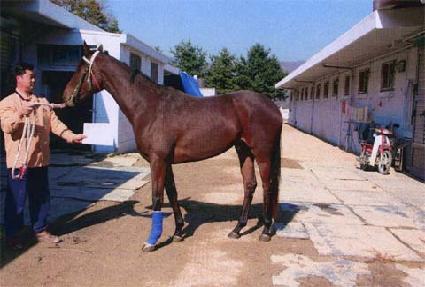 Ȳ�ݺ� ����