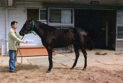 ������Ŀ�ǵ� ����