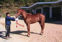 ���̽������� (NICE FRIEND) ����