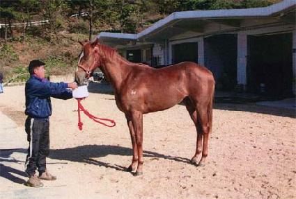 ���̽������� ����