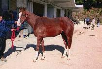 ���鿹�� (OBAEK YECHAN) ����