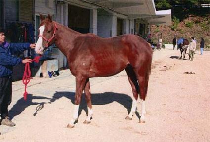 ���鿹�� ����