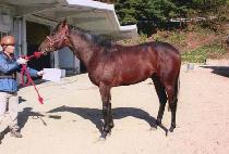 ��������� (AGAIN CHANCE) ����