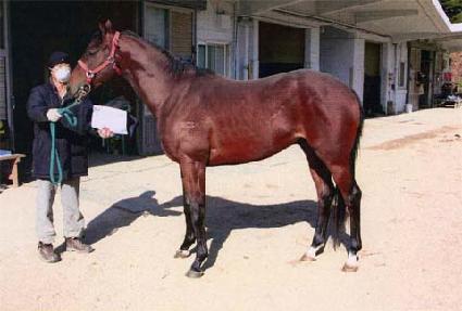 ����ű ����