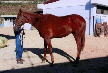 õ����� ����