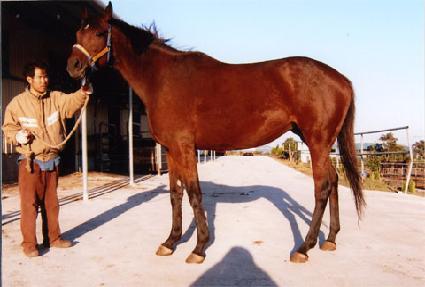 ������ġ ����