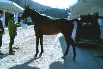 ���� (JU JANG) ����