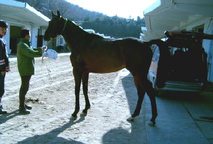 ���� ����